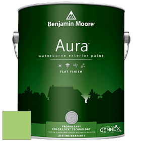 Benjamin Moore Aura 629 Waterborne Exterior Flat Finish краска цвет 2030-40 Spring Leaf