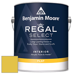 Benjamin Moore 547 Regal Select Waterborne Interior Flat Finish краска цвет NCS S 1060-G90Y 
