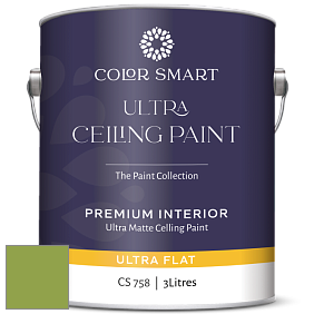 COLOR SMART CS 758 ULTRA CEILING PAINT ультраматовая краска цвет NCS S 2060-G40Y 