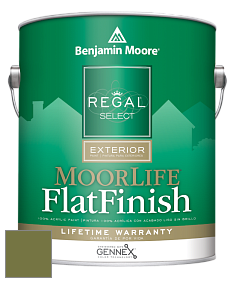 Benjamin Moore W105 Regal Select Exterior Paint-MoorLife Flat Finish краска цвет 2145-10 Avocado