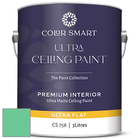 COLOR SMART CS 758 ULTRA CEILING PAINT ультраматовая краска цвет NCS S 1050-G 