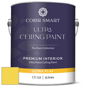 COLOR SMART CS 758 ULTRA CEILING PAINT ультраматовая краска цвет NCS S 0560-G90Y 
