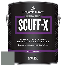 Benjamin Moore 484 Ultra Spec SCUFF-X Interior Matte Finish краска цвет NCS S 5005-G 