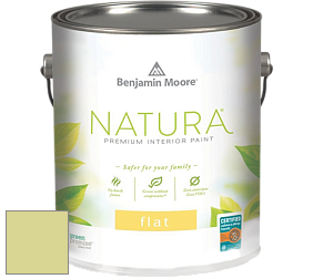 Benjamin Moore 512 Natura Interior Flat Finish матовая краска цвет NCS S 1030-G70Y 