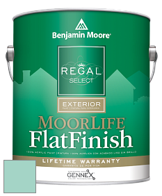 Benjamin Moore W105 Regal Select Exterior Paint-MoorLife Flat Finish краска цвет 2041-50 Sea Mist Green