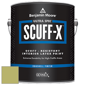 Benjamin Moore 485 Ultra Spec SCUFF-X Interior Eggshell Finish краска цвет NCS S 2040-G60Y 