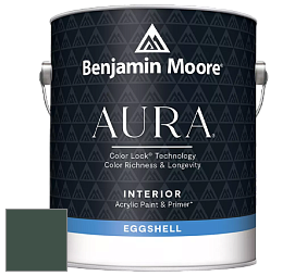Benjamin Moore Aura 524 Waterborne Interior Eggshell Finish краска цвет 2041-10 Hunter Green