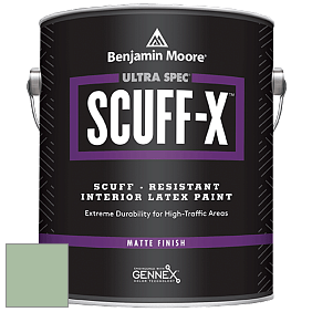 Benjamin Moore 484 Ultra Spec SCUFF-X Interior Matte Finish краска цвет NCS S 2020-G20Y 