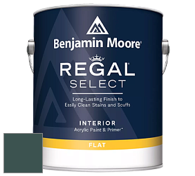 Benjamin Moore 547 Regal Select Waterborne Interior Flat Finish краска цвет 2054-10 Bavarian Forest