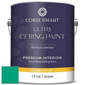 COLOR SMART CS 758 ULTRA CEILING PAINT ультраматовая краска цвет NCS S 2060-B90G 