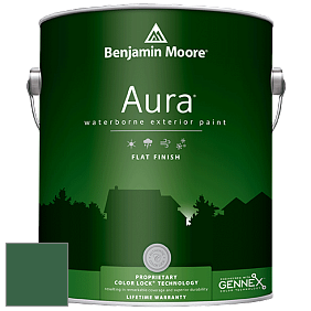 Benjamin Moore Aura 629 Waterborne Exterior Flat Finish краска цвет 2040-10 Rainforest Foliage