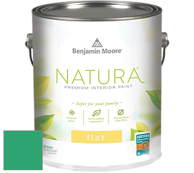 Benjamin Moore 512 Natura Interior Flat Finish матовая краска цвет 2039-30 Cabana Green