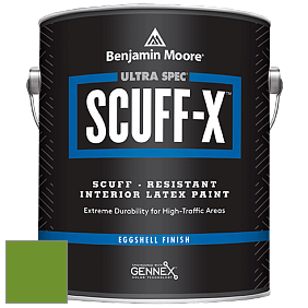 Benjamin Moore 485 Ultra Spec SCUFF-X Interior Eggshell Finish краска цвет 2029-10 Basil Green