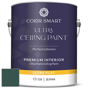 COLOR SMART CS 758 ULTRA CEILING PAINT ультраматовая краска цвет 2047-10 Forest Green