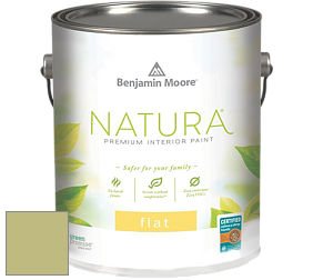 Benjamin Moore 512 Natura Interior Flat Finish матовая краска цвет NCS S 2030-G60Y 