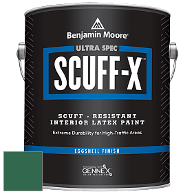 Benjamin Moore 485 Ultra Spec SCUFF-X Interior Eggshell Finish краска цвет NCS S 5040-G 