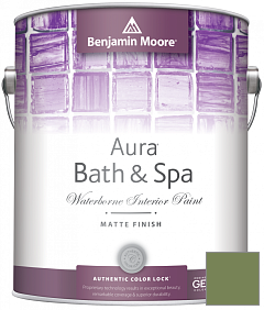 Краска Benjamin Moore Aura Bath & Spa Interior Paint Matte Finish (532) цвет 546 Courtyard Green