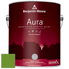 Benjamin Moore Aura 631 Waterborne Exterior Satin Finish краска цвет 2029-10 Basil Green