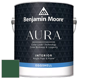 Benjamin Moore Aura 524 Waterborne Interior Eggshell Finish краска цвет NCS S 5540-G10Y 