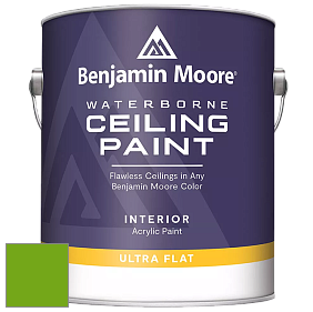 Benjamin Moore 508 Waterborne Ceiling Paint краска для потолков цвет 2031-10 Neon Lime