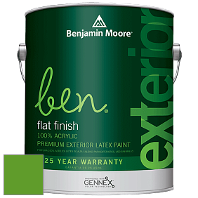 Benjamin Moore Ben 541 Waterborne Exterior Flat Finish краска цвет 2030-10 Lizard Green