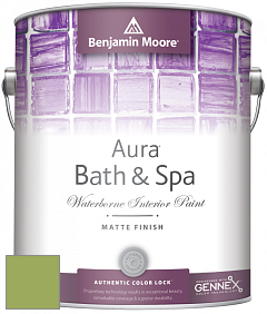 Benjamin Moore Aura 532 Bath & Spa Waterborne Interior Paint Matte Finish краска цвет NCS S 2050-G40Y 