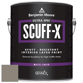Benjamin Moore 484 Ultra Spec SCUFF-X Interior Matte Finish краска цвет NCS S 5005-Y 