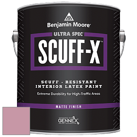 Benjamin Moore 484 Ultra Spec SCUFF-X Interior Matte Finish краска цвет NCS S 2030-R20B 