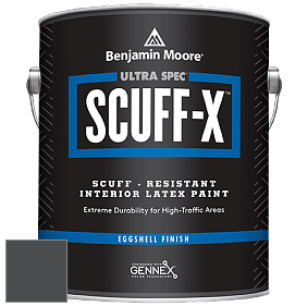 Benjamin Moore 485 Ultra Spec SCUFF-X Interior Eggshell Finish краска цвет 2125-10 Black Panther