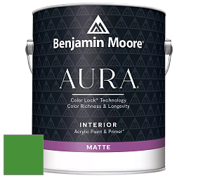Benjamin Moore Aura 522 Interior Paint - Matte краска цвет NCS S 2075-G20Y 