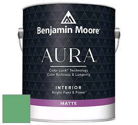Benjamin Moore Aura 522 Interior Paint - Matte краска цвет NCS S 2050-G10Y 