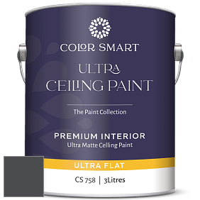 COLOR SMART CS 758 ULTRA CEILING PAINT ультраматовая краска цвет 2125-10 Black Panther