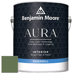 Benjamin Moore Aura 524 Waterborne Interior Eggshell Finish краска цвет NCS S 5030-G30Y 