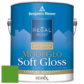 Benjamin Moore W096 Regal Select Exterior Paint-Moor GloSoft Gloss Finish краска цвет 2032-10 Neon Green