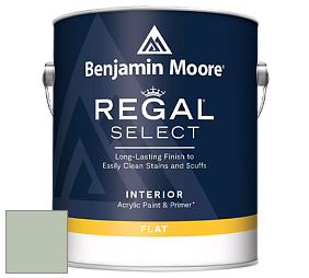 Benjamin Moore 547 Regal Select Waterborne Interior Flat Finish краска цвет NCS S 2010-G30Y 