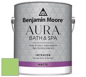 Benjamin Moore Aura 532 Bath & Spa Waterborne Interior Paint Matte Finish краска цвет 2030-40 Spring Leaf