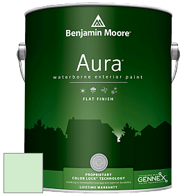 Benjamin Moore Aura 629 Waterborne Exterior Flat Finish краска цвет 2033-60 Mantis Green