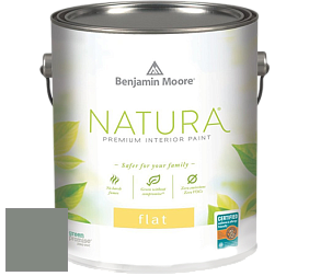 Benjamin Moore 512 Natura Interior Flat Finish матовая краска цвет NCS S 5005-G20Y 