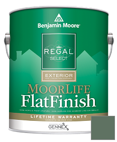 Краска Regal Select Exterior Paint-MoorLife Flat Finish (W105) цвет 637 Gothic Green