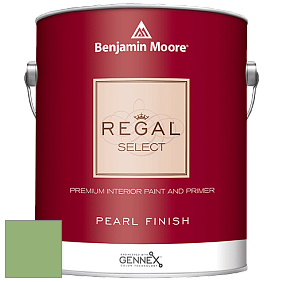 Benjamin Moore 550 Regal Select Waterborne Interior Pearl Finish краска цвет NCS S 2040-G30Y 