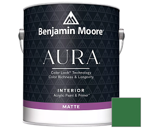 Краска Benjamin Moore Aura Interior Paint - Matte (522) цвет 2037-10 Amazon Moss