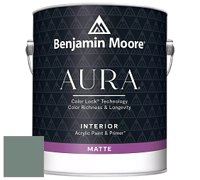 Benjamin Moore Aura 522 Interior Paint - Matte краска цвет NCS S 5010-B90G 