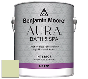 Benjamin Moore Aura 532 Bath & Spa Waterborne Interior Paint Matte Finish краска цвет NCS S 1020-G50Y 