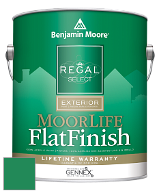 Benjamin Moore W105 Regal Select Exterior Paint-MoorLife Flat Finish краска цвет 2039-20 Emerald Isle