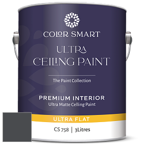 COLOR SMART CS 758 ULTRA CEILING PAINT ультраматовая краска цвет 2120-20 Black Iron