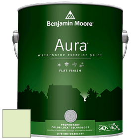 Benjamin Moore Aura 629 Waterborne Exterior Flat Finish краска цвет 2031-60 Neon Celery