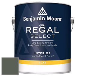 Benjamin Moore 547 Regal Select Waterborne Interior Flat Finish краска цвет NCS S 7010-G30Y 