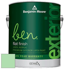 Benjamin Moore Ben 541 Waterborne Exterior Flat Finish краска цвет 2033-50 Bud Green