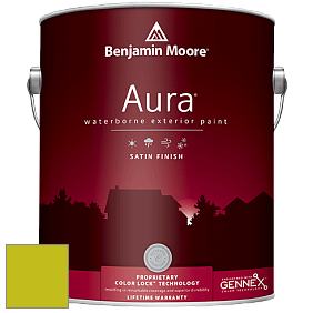 Benjamin Moore Aura 631 Waterborne Exterior Satin Finish краска цвет 2027-30 Eccentric Lime