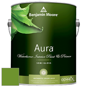 Benjamin Moore Aura 528 Waterborne Interior Semi-gloss Finish краска цвет 2029-10 Basil Green